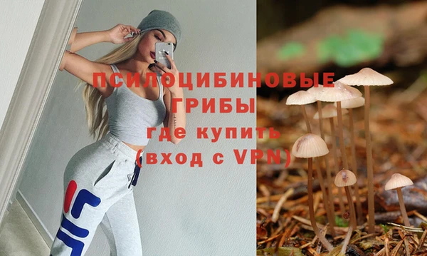 дмт Белокуриха