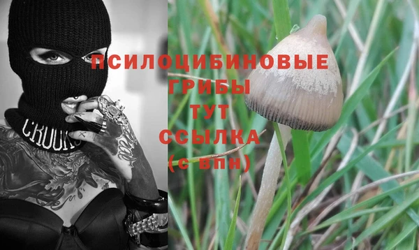 дмт Белокуриха